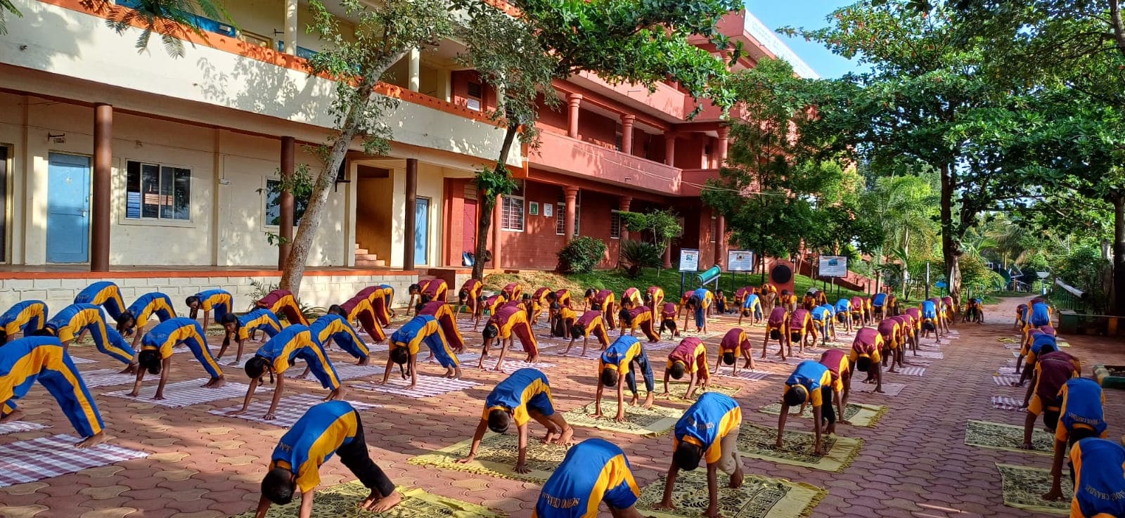 Yoga group activity